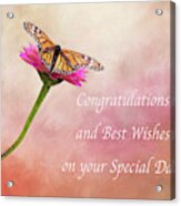 Congratulations Monarch Butterfly Acrylic Print