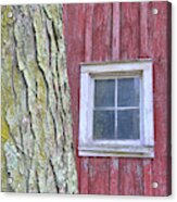 Contrasting Colors Acrylic Print