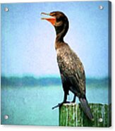Cormorant Rests On Post Overlooking Lake Acrylic Print