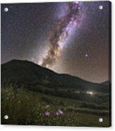 Cosmos Blooming In The Galaxy Acrylic Print