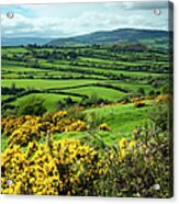Countryside, County Wicklow, Republic Acrylic Print