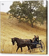 Couple Riding In Horse-drawn Carriage Acrylic Print