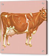 Cow Acrylic Print