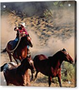 Cowboy Roping Horses Acrylic Print