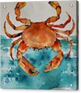 Crabbie Acrylic Print