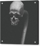 Cranium Ophidian Ashen Acrylic Print