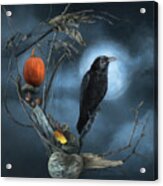 Crescent Raven Moon Acrylic Print
