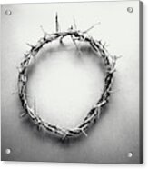 Crown Of Thorns In Black And White Acrylic Print