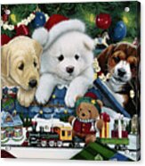 Curious Christmas Pups Acrylic Print