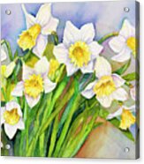 Daffodil Cluster Acrylic Print
