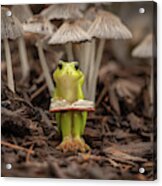 Daydreaming Among The Toadstools Acrylic Print