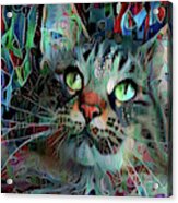 Deedee In Blue And Red Acrylic Print