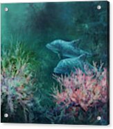 Deep Sea Dolphins Acrylic Print