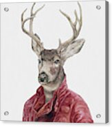 Deer In Leather Acrylic Print