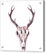 Deer Skull. Watercolor Acrylic Print
