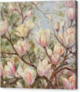 Delicate Tulip Tree Acrylic Print
