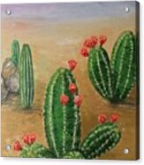 Desert Bloom Acrylic Print