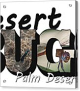 Desert Bugs Big Letter Acrylic Print