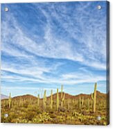 Desert Sky Acrylic Print