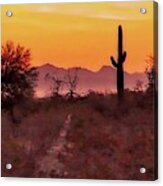 Desert Sunrise Trail Acrylic Print