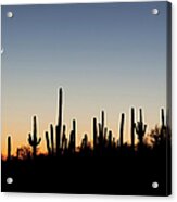 Desert Sunset With Cacti Silhouettes Acrylic Print