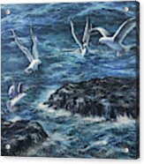 Seagull's Rock Acrylic Print