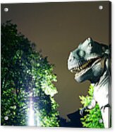 Dinosaur And Trees At Night Acrylic Print