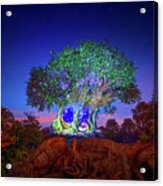 Disney's Tree Of Life At Animal Kingdom Acrylic Print