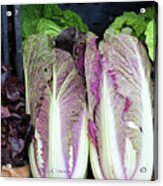 Display Of Lettuces Acrylic Print