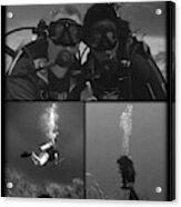 Dive Buddies Acrylic Print