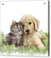 Dog And Cat 1 Acrylic Print