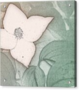 Dogwood Flower Stencil On Sandstone Acrylic Print