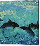 Dolphins Surf Acrylic Print