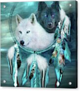 Dream Catcher - White Wolf Black Wolf Acrylic Print