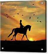 Dressage Rider And Horse At Sunset With Birds Acrylic Print