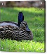 Duck Love Acrylic Print