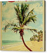 Dunedin Florida Palm Tree Digital Art By Flo Karp