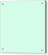 Dunn Edwards 2019 Curated Colors Pale Cactus - Pastel Green De5673 Solid Color Acrylic Print