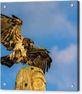 Eagle And Totem Pole Acrylic Print