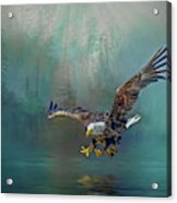 Eagle Swooping For Fish Acrylic Print