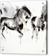 Equus 7 Acrylic Print