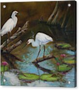 Two Egrets--missed Again Acrylic Print
