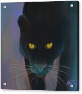 Elusive Panther Acrylic Print