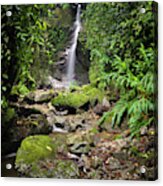 Enchanted Waterfall Entreaguas Ibague Tolima Colombia Acrylic Print