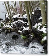 End Of Winter Acrylic Print