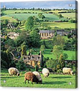 England, Gloucestershire,   Cotswolds Acrylic Print