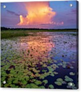 Evening Shower Acrylic Print