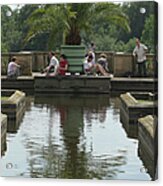 Exotic Trees Rolled Out At Sanssouci Acrylic Print