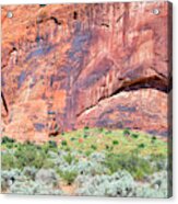 Eyes Of Rock Acrylic Print