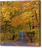 Fall Colors Acrylic Print